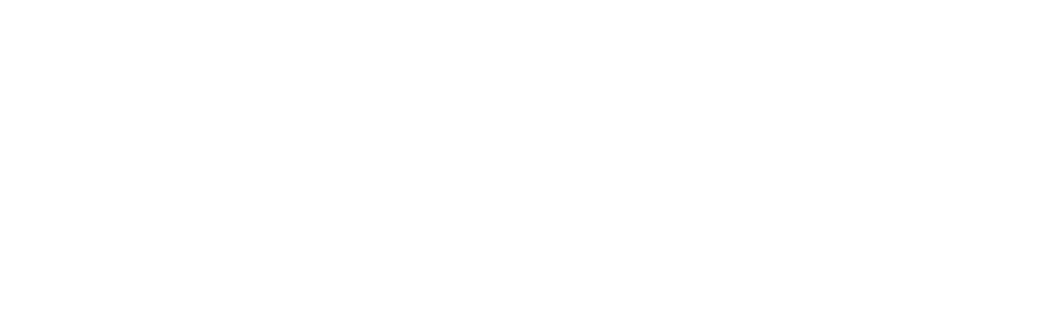 Logo INDAABIN Negativo